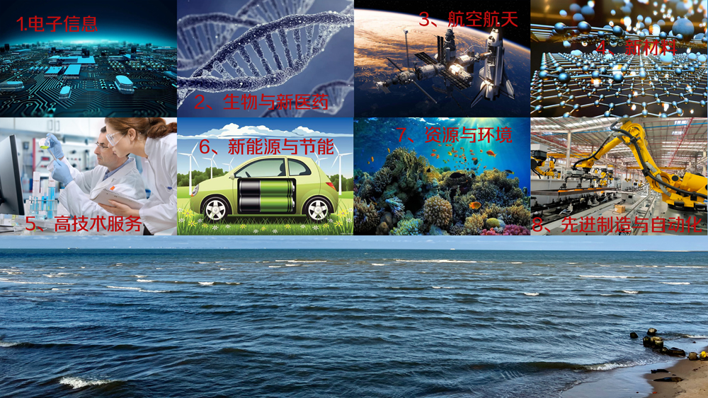 国家重点支持的八大高新技术领域